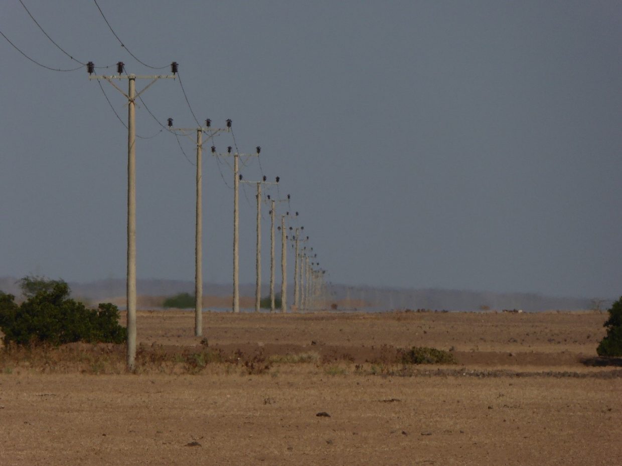 A typical new low-voltage power distribution line connecting rural communities in eastern Ethiopia. The metal cross-bar, and the propped-up insulators that support the live wire above the crossbar are typical features that make this powerline extremely dangerous for large birds.