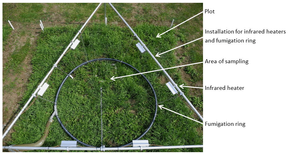 Figure 1: Design of a plot