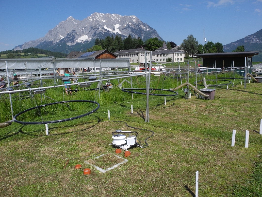 Figure 3: Plot installation moved aside for cutting and sampling purposes